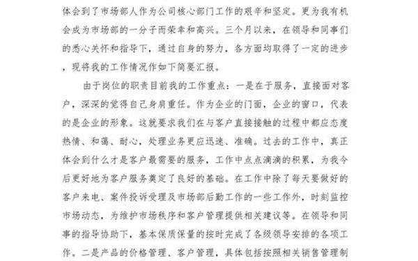 市场部工作总结;市场部员工个人总结 市场部工作总结;市场部员工个人总结