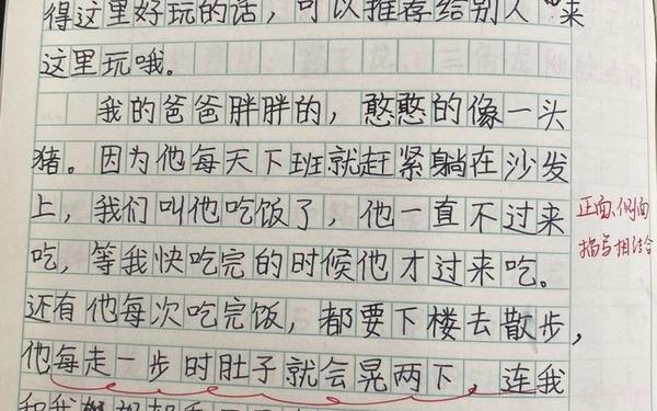 小小动物园300字作文四年级—小小动物园300字优秀作文