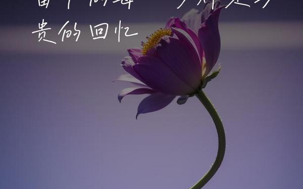 即将逝去的青春、逝去的青春经典语录