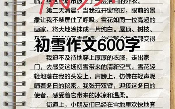 关于第一场雪的作文,第一场雪作文600字初中