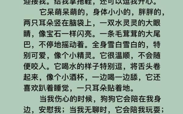 我想养的小动物二年级作文-作文我喜爱的小动物