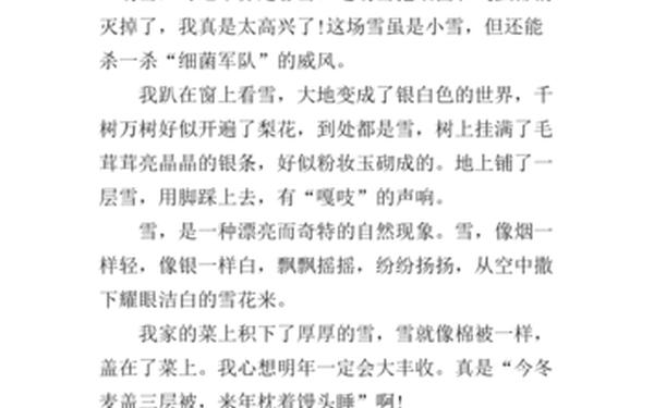2021年的第一场雪作文、今年的第一场雪日记
