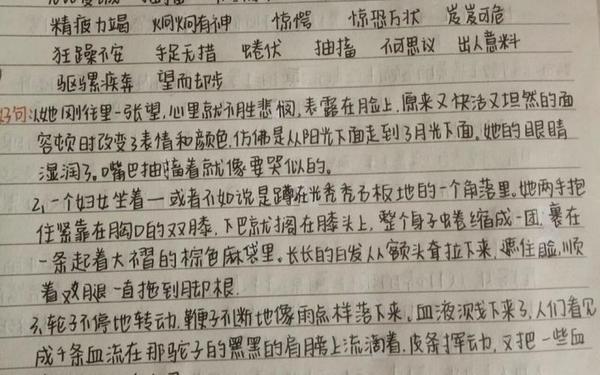 巴黎圣母院读书笔记,巴黎圣母院绘画