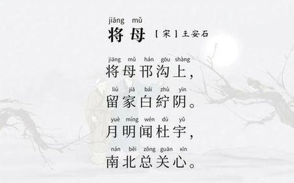 关于母亲的诗_《母爱》唐·李白