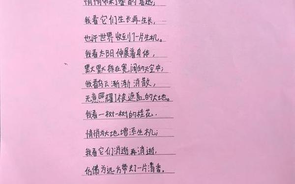 小诗的公交车日记1一15文(小诗公交车日记内容)