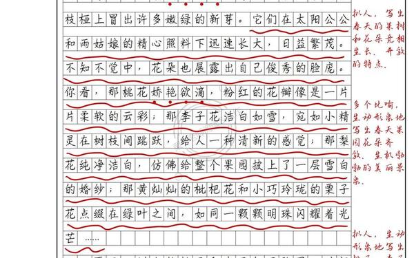 三年级作文300字大全、9999999999万亿字作文