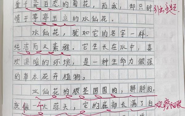 免费作文300字植物 三年级下册作文植物300字