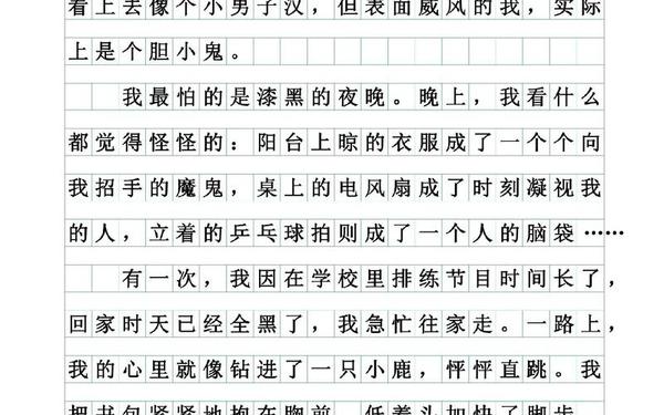 我的2013作文 我的2020年作文
