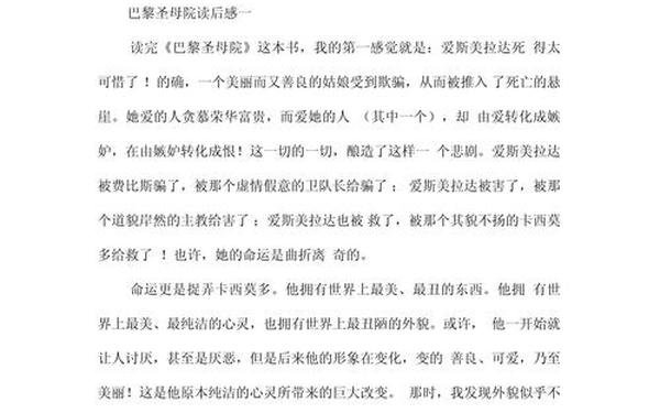 巴黎圣母院读后感600字(巴黎圣母院读书心得800字)
