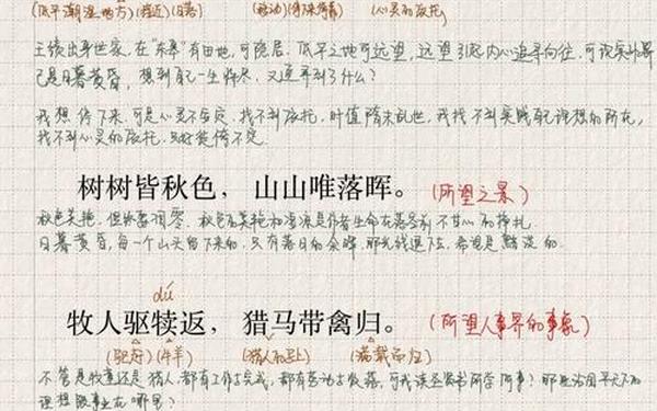 野望原文及翻译(《野望》王绩翻译)