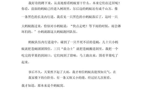 观察蚂蚁的作文300字;蚂蚁观察300字优秀作文免费