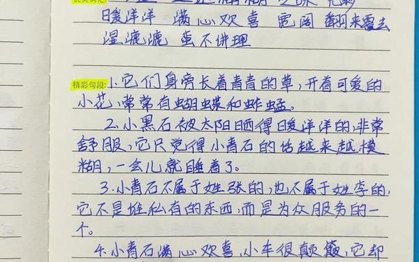 两篇读书笔记摘抄-3～6年级读书笔记摘抄