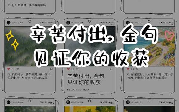 付出就有收获 付出与收获的金句