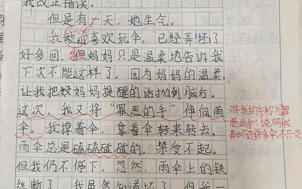 他怎么了作文500字左右 9999999999万亿字作文