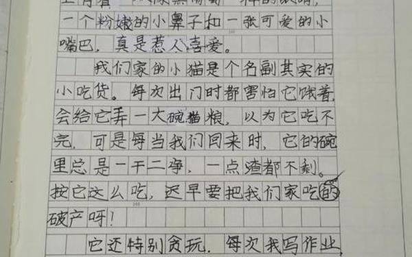 三年级的作文300字—三年级作文写动物300字