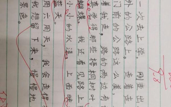 铺满金色巴掌的水泥道课后小练笔、铺满金色巴掌的水泥道优质课