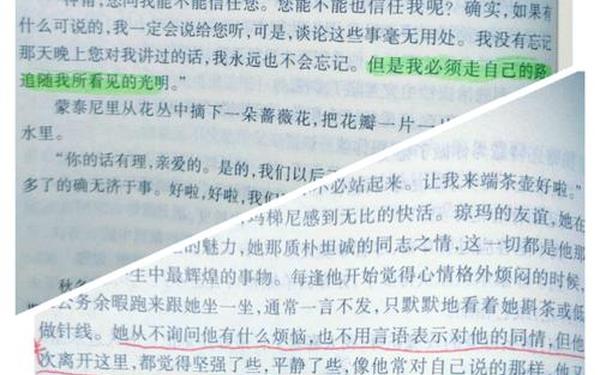 牛虻读后感(牛虻讲了什么道理)