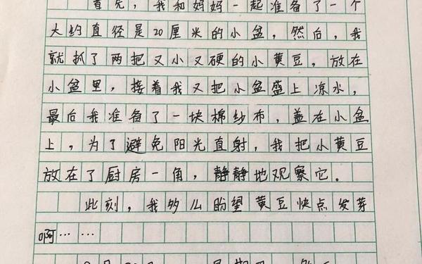 小学四年级上册作文,四年级上册8篇作文