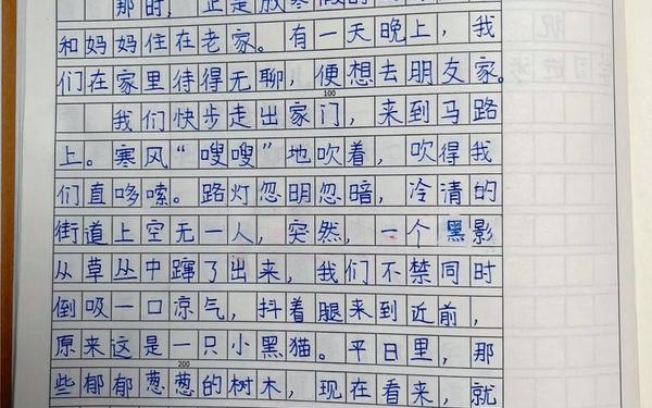 小学四年级上册我的心砰砰跳作文;我的心儿怦怦跳作文500字四年级