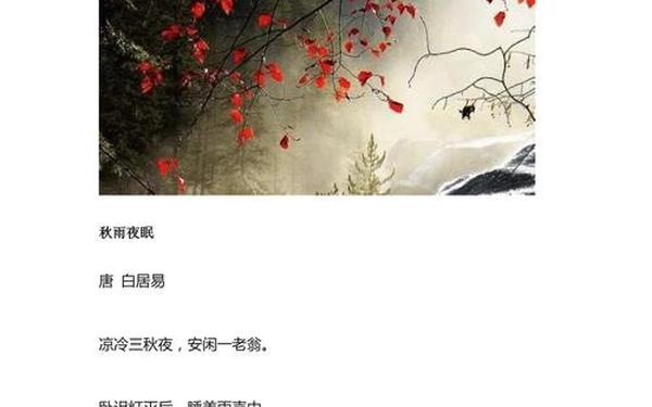 古诗文赏析 优秀古诗词鉴赏