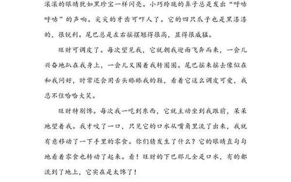 可爱的小狗300字左右、三年级动物小狗300字