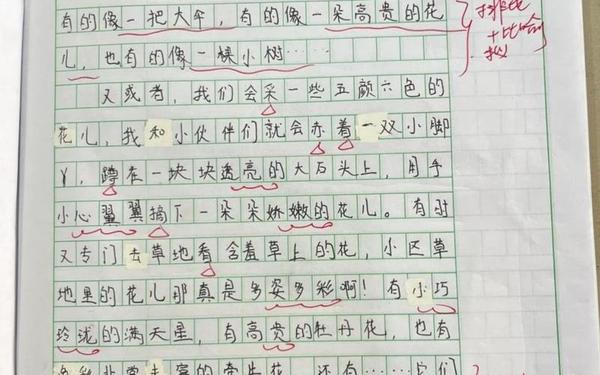 有关乐趣的作文(乐趣作文450字)