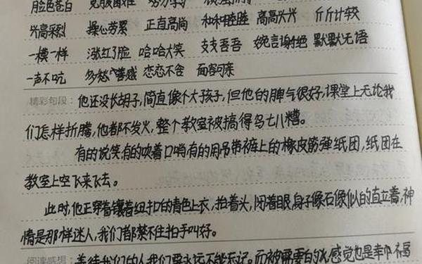 《爱的教育》读书笔记,爱的教育摘抄笔记10篇