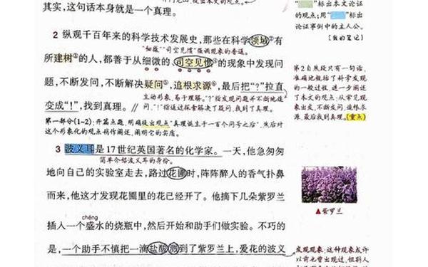 真理诞生于一百个问号之后小练笔(真理诞生于100个问号之后总结观点)