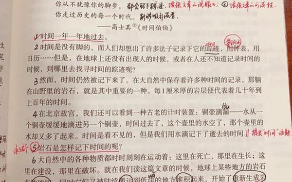 成长的脚印—时间的脚印概括