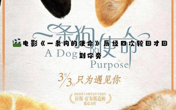 我变成了一条狗—我变成了狗2所有提示