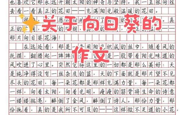 向日葵作文—蝴蝶兰作文