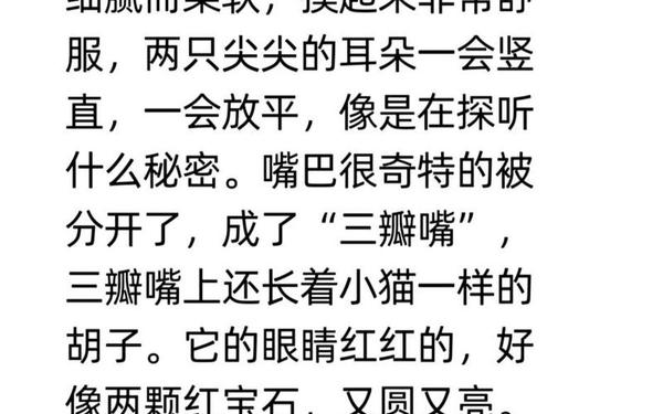 爱挑食的小白兔 爱挑食的小白兔原文