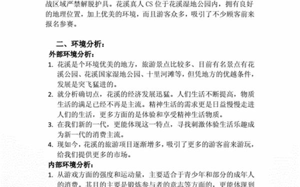 市场营销策划方案3000字,营销策划方案模板