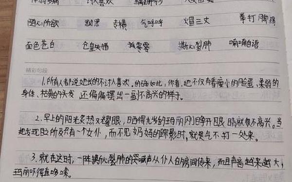 教师读书笔记摘抄及感悟(读书笔记摘抄感悟好词好句)
