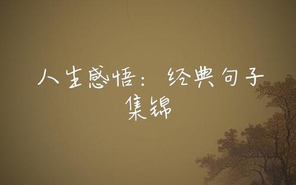经典语录人生感悟,人生最大的意义经典语录