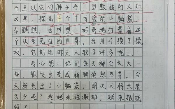 小学四年级日记20篇(四年级下册优秀日记)
