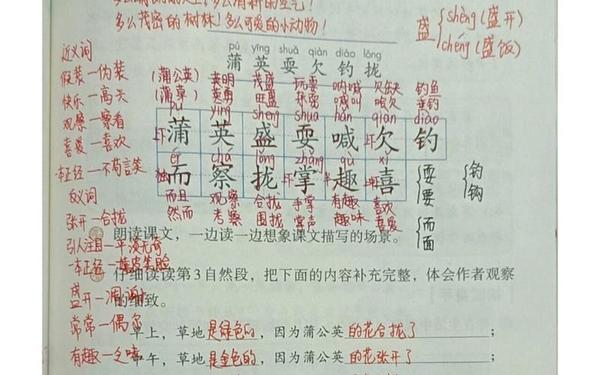 金色的草地教学实录,金色的草地课堂实录优秀
