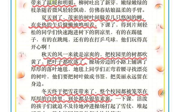 我们的学校三年级作文—我的学校三年级300字