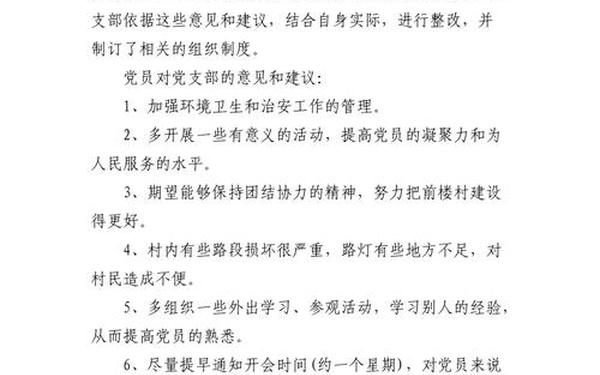 党支部意见;对支部党员提意见和建议100条