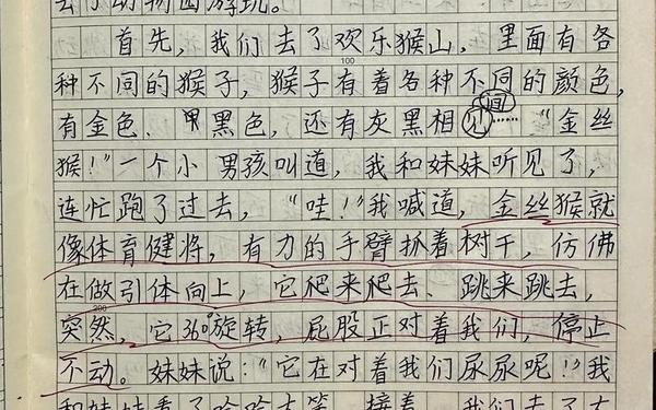 三年级周记怎么写、周记的正确格式范文