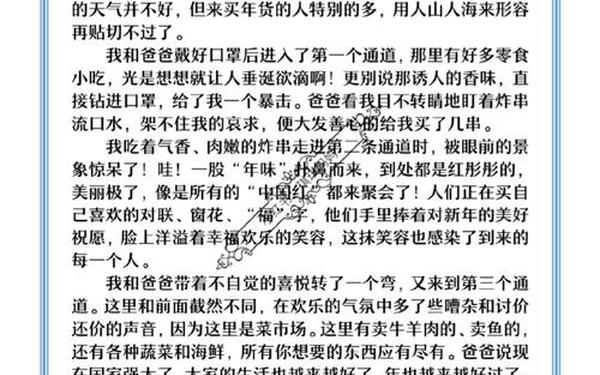 小学生作文买年货(春节买年货作文300字)