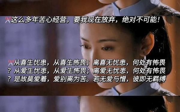 步步惊心经典语句(步步惊心的唯美句子)