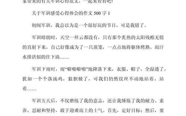 大学生军训总结—大一新生军训个人总结500字