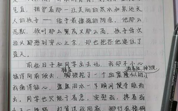 伤感文章伤感日志、伤感日志看完哭了那种