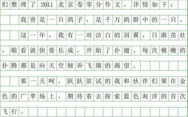 史上最牛高考作文;09年高考我有一双隐形的翅膀