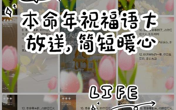 兔年本命年祝福语、老鼠本命年的祝福语好词
