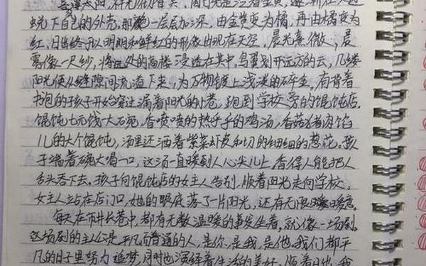 三年级作文日记300字,三年级作文《日出》