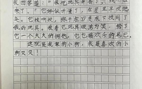 二年级写可爱的小狗,二年级有趣的小狗100字