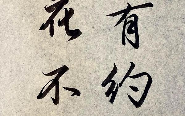 不负春光不负卿-春已至,花已开,不负春光,不负己
