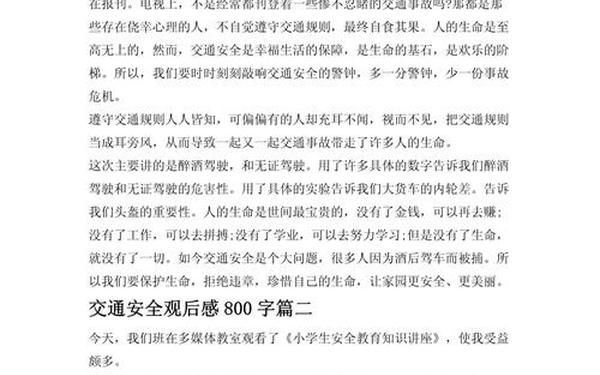 上学路上观后感-怒江滑索道上学